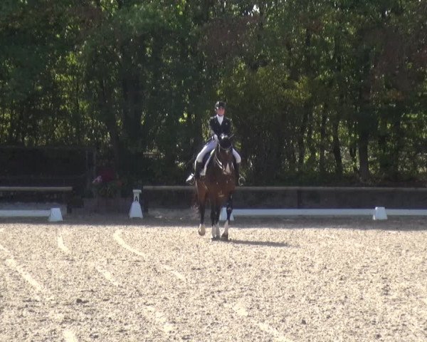Reitturnier Würselen-Pley 2018