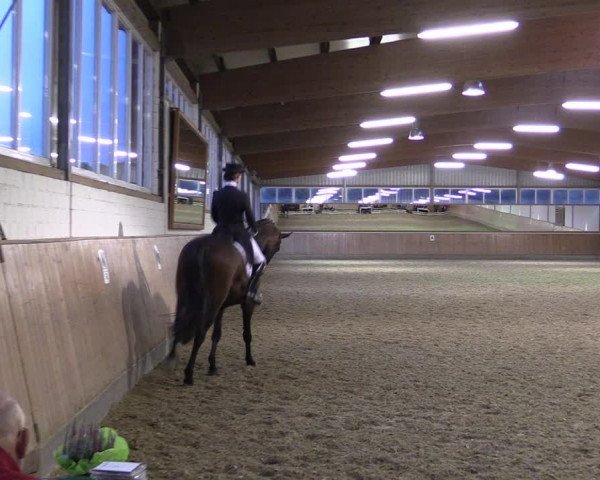 Reitturnier Gut Hohenkamp / Dorsten 2018