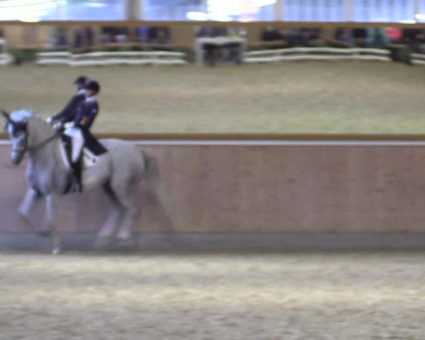 Reitturnier Gut Hohenkamp / Dorsten 2018