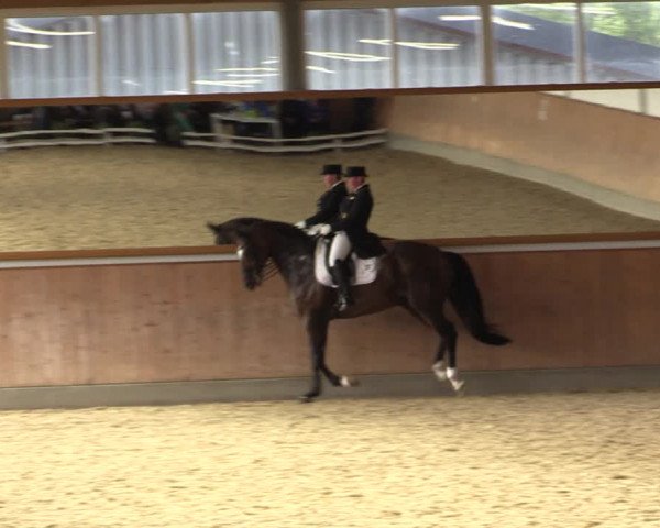 Reitturnier Gut Hohenkamp / Dorsten 2018