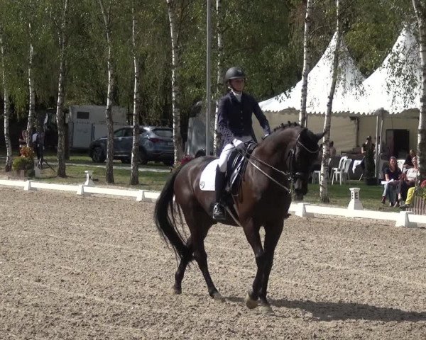 Reitturnier Würselen-Pley 2018