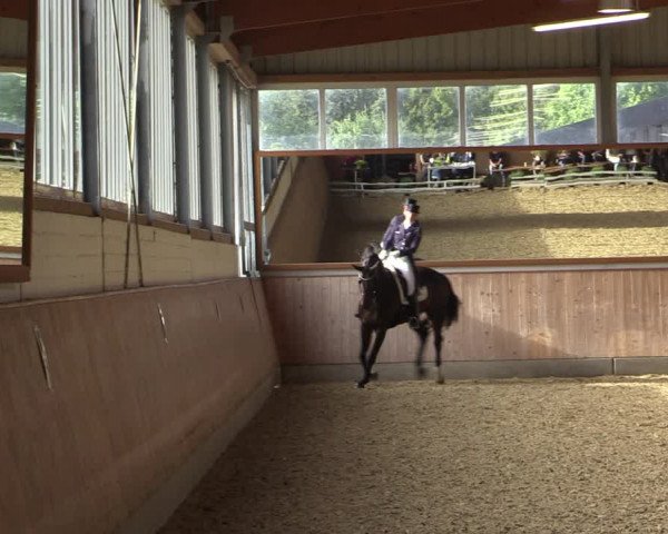 Reitturnier Gut Hohenkamp / Dorsten 2018