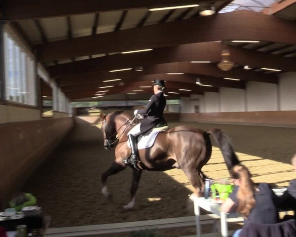 Reitturnier Gut Hohenkamp / Dorsten 2018