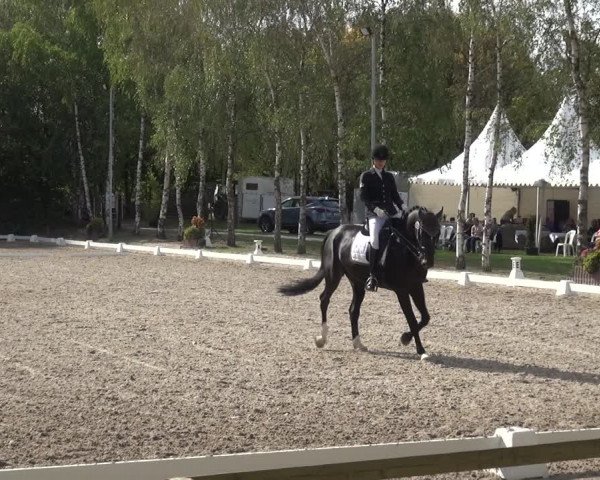 Reitturnier Würselen-Pley 2018