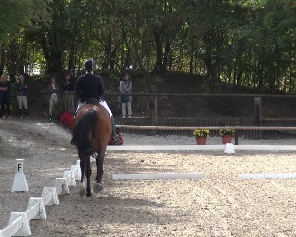 Reitturnier Würselen-Pley 2018