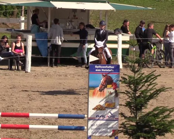 Reitturnier Looper Holz 2018