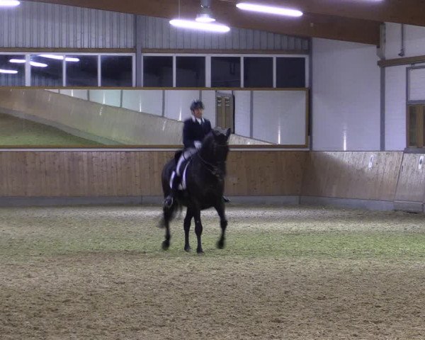 Reitturnier Gut Hohenkamp / Dorsten 2018