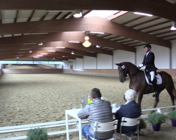 Reitturnier Gut Hohenkamp / Dorsten 2018