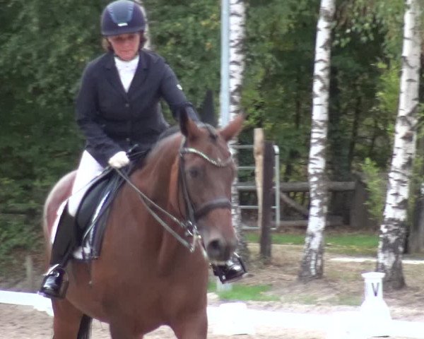 Reitturnier Würselen-Pley 2018