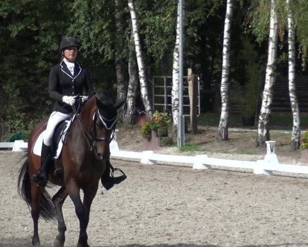Reitturnier Würselen-Pley 2018