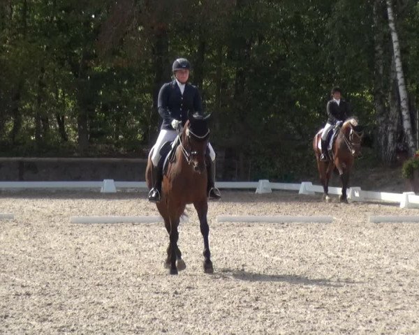 Reitturnier Würselen-Pley 2018