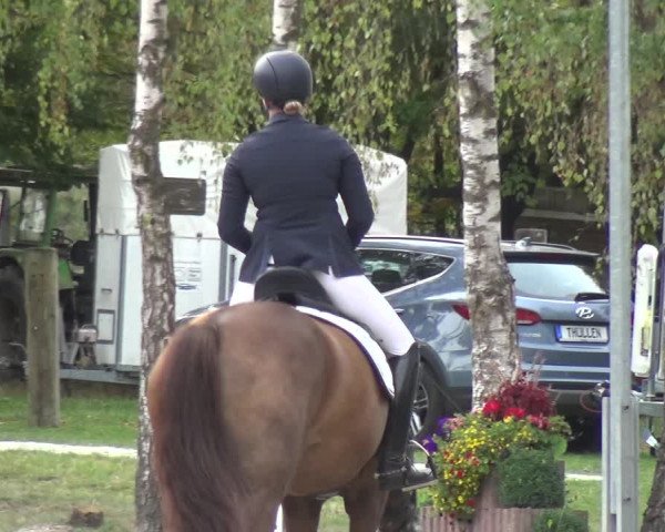 Reitturnier Würselen-Pley 2018