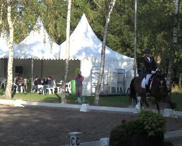 Reitturnier Würselen-Pley 2018