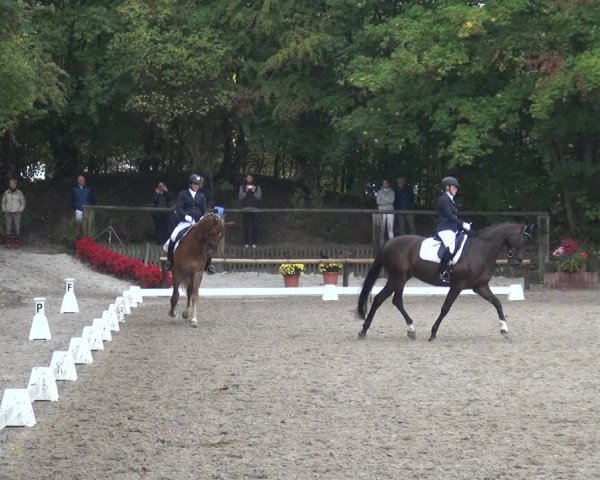 Reitturnier Würselen-Pley 2018