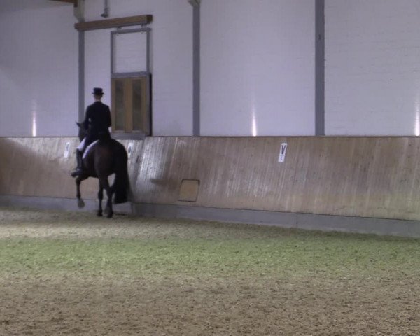 Reitturnier Gut Hohenkamp / Dorsten 2018
