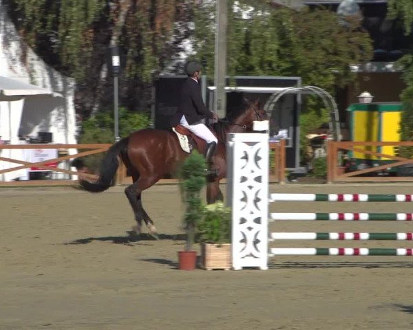 Reitturnier Köln - Reitanlage Brüse 2018