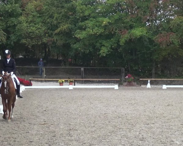Reitturnier Würselen-Pley 2018
