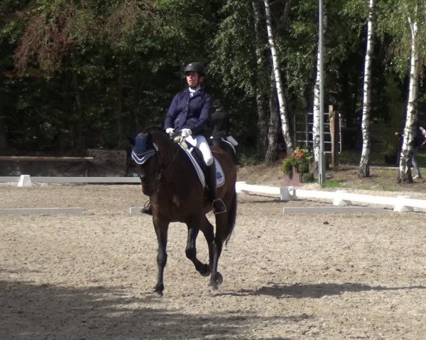 Reitturnier Würselen-Pley 2018