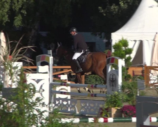 Reitturnier Köln - Reitanlage Brüse 2018