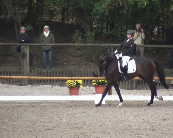 Reitturnier Würselen-Pley 2018