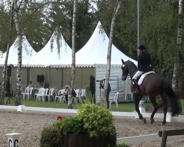 Reitturnier Würselen-Pley 2018