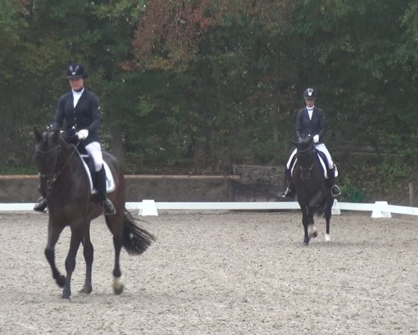 Reitturnier Würselen-Pley 2018