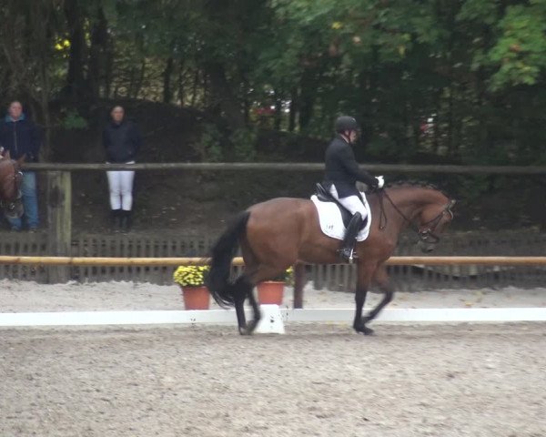 Reitturnier Würselen-Pley 2018