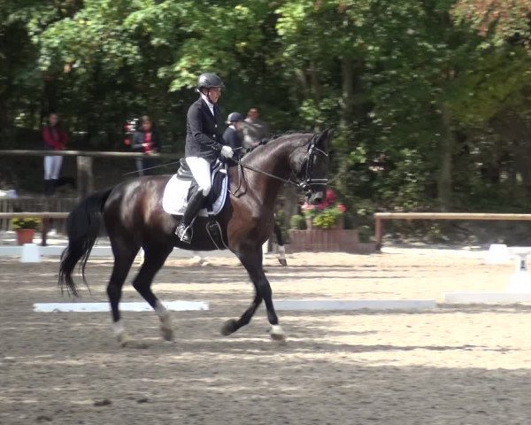 Reitturnier Würselen-Pley 2018
