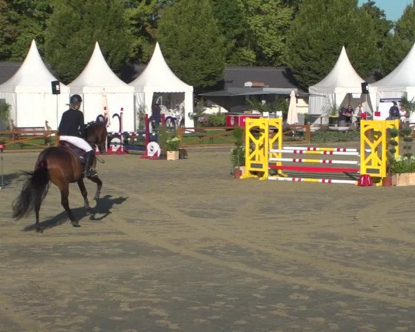 Reitturnier Köln - Reitanlage Brüse 2018