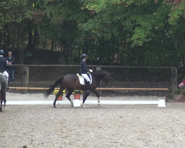 Reitturnier Würselen-Pley 2018