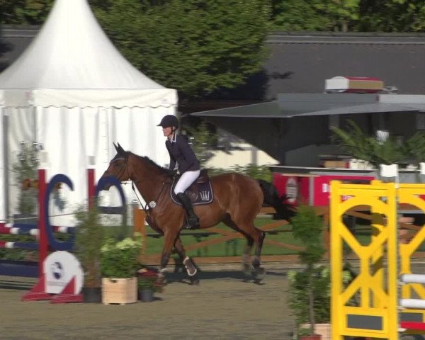 Reitturnier Köln - Reitanlage Brüse 2018