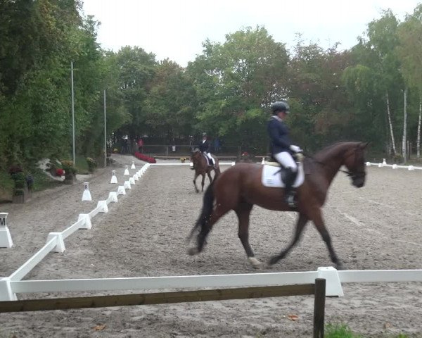Reitturnier Würselen-Pley 2018