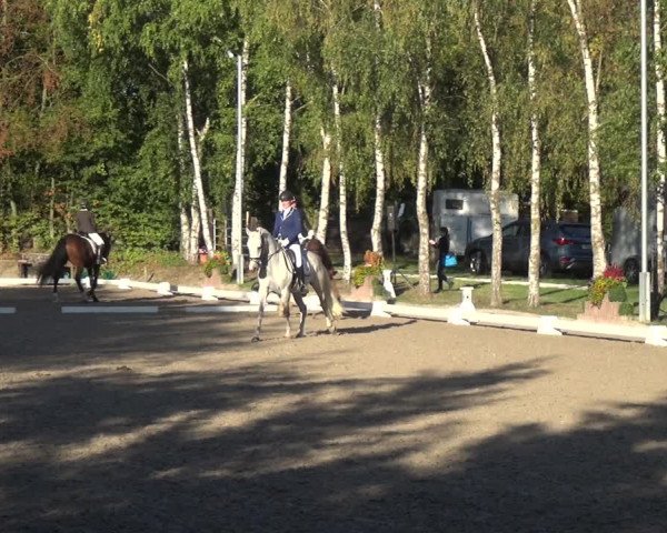 Reitturnier Würselen-Pley 2018