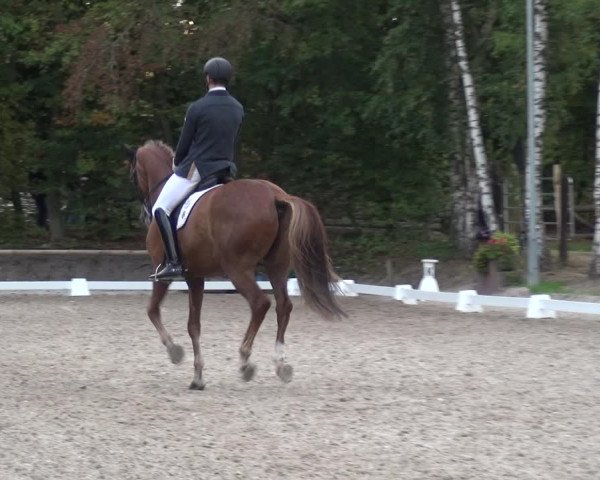 Reitturnier Würselen-Pley 2018