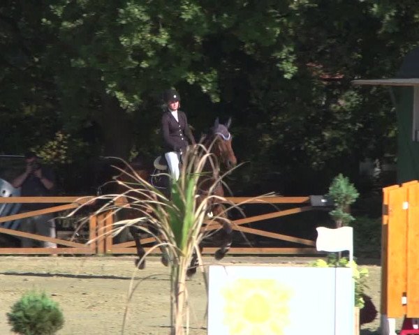 Reitturnier Köln - Reitanlage Brüse 2018