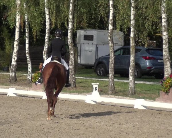 Reitturnier Würselen-Pley 2018