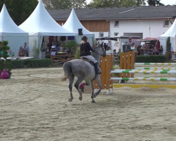 Reitturnier Köln - Reitanlage Brüse 2018