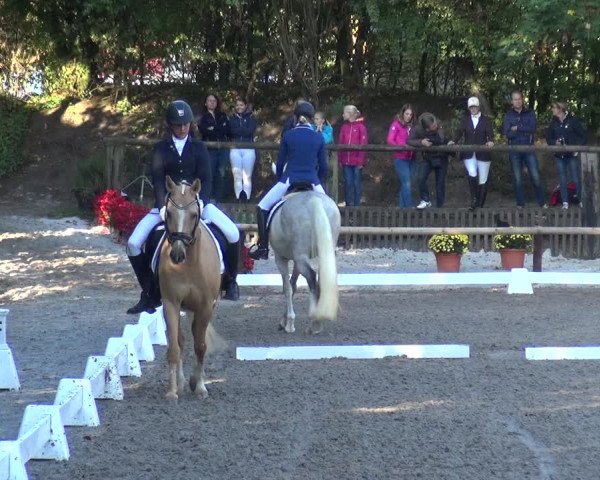 Reitturnier Würselen-Pley 2018