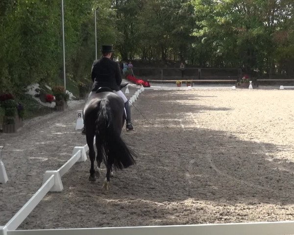 Reitturnier Würselen-Pley 2018