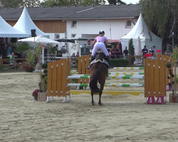 Reitturnier Köln - Reitanlage Brüse 2018