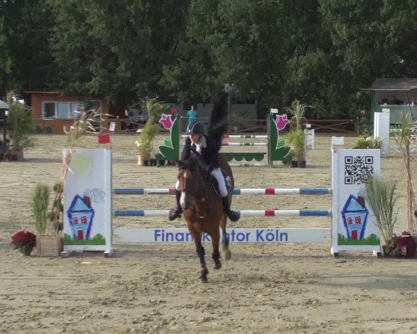 Reitturnier Köln - Reitanlage Brüse 2018