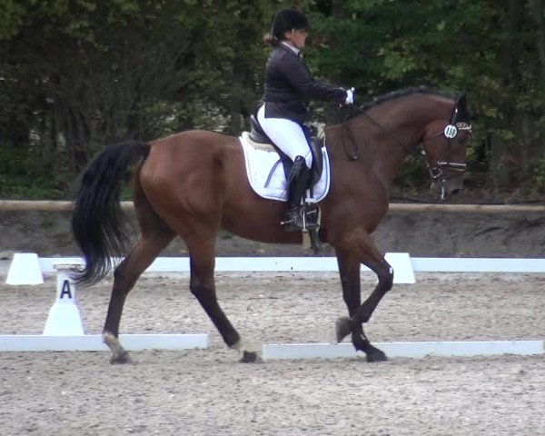 Reitturnier Würselen-Pley 2018