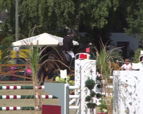 Reitturnier Köln - Reitanlage Brüse 2018