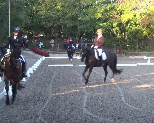 Reitturnier Würselen-Pley 2018