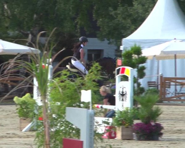 Reitturnier Köln - Reitanlage Brüse 2018