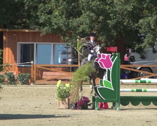 Reitturnier Köln - Reitanlage Brüse 2018