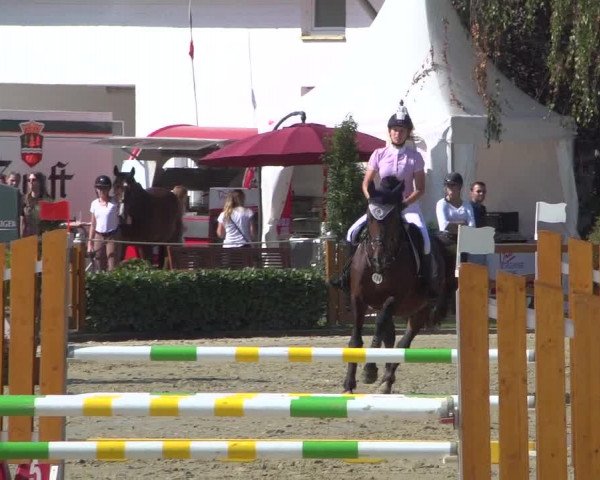 Reitturnier Köln - Reitanlage Brüse 2018