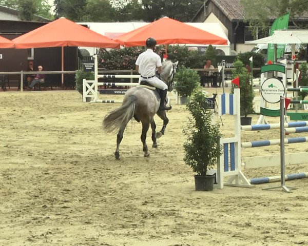 Reitturnier Walldorf/Winterheck 2018