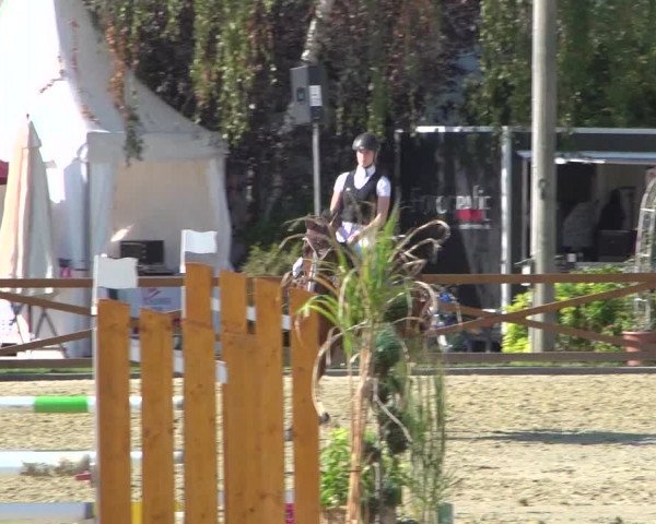 Reitturnier Köln - Reitanlage Brüse 2018