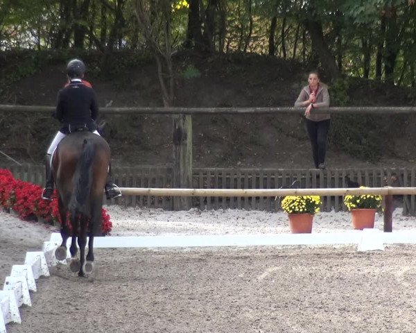 Reitturnier Würselen-Pley 2018
